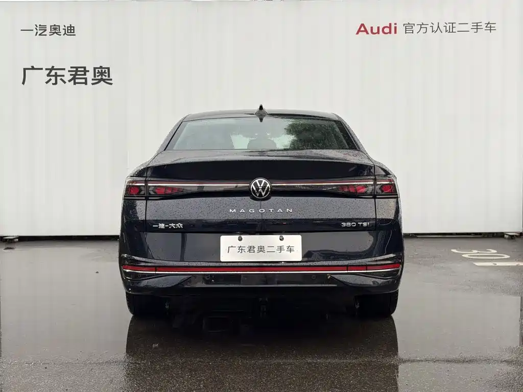 Volkswagen Magotan 2025 2024 380TSI DSG Ultimate Edition