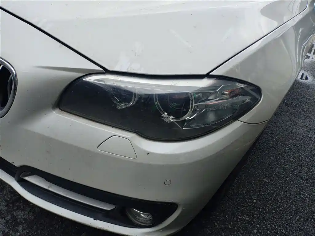 BMW 5 Series (Import) 2014 520i Classic фото 18
