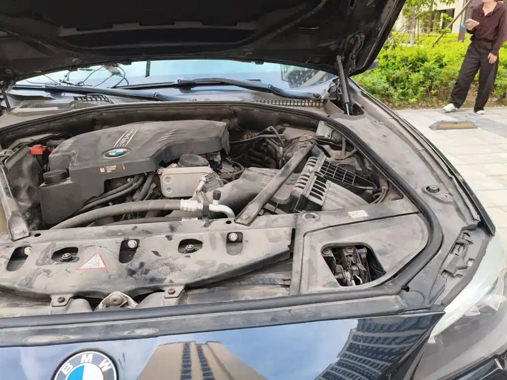 BMW 5 Series 2014 525Li Leading фото 22