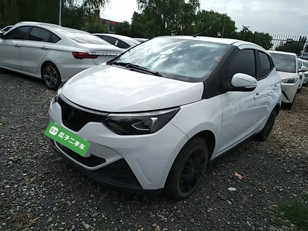 JMCG New Energy Little Kirin 2024 2024 201km Comfort Model
