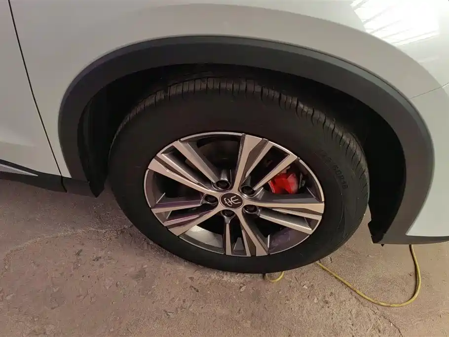 BYD Song Pro New Energy 2022 DM-i 51km Premium фото 6
