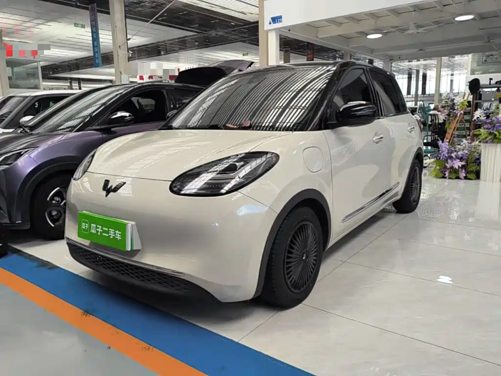 Wuling Motors Wuling Bingo 2023 333km Joyful Version
