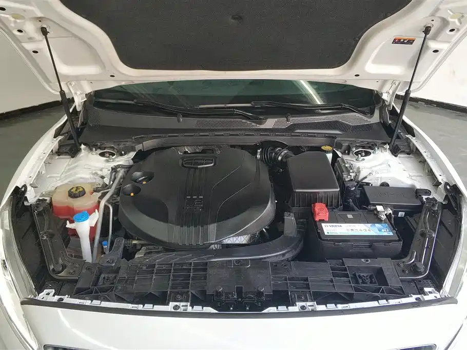 GEELY AUTOMOBILE BORUI