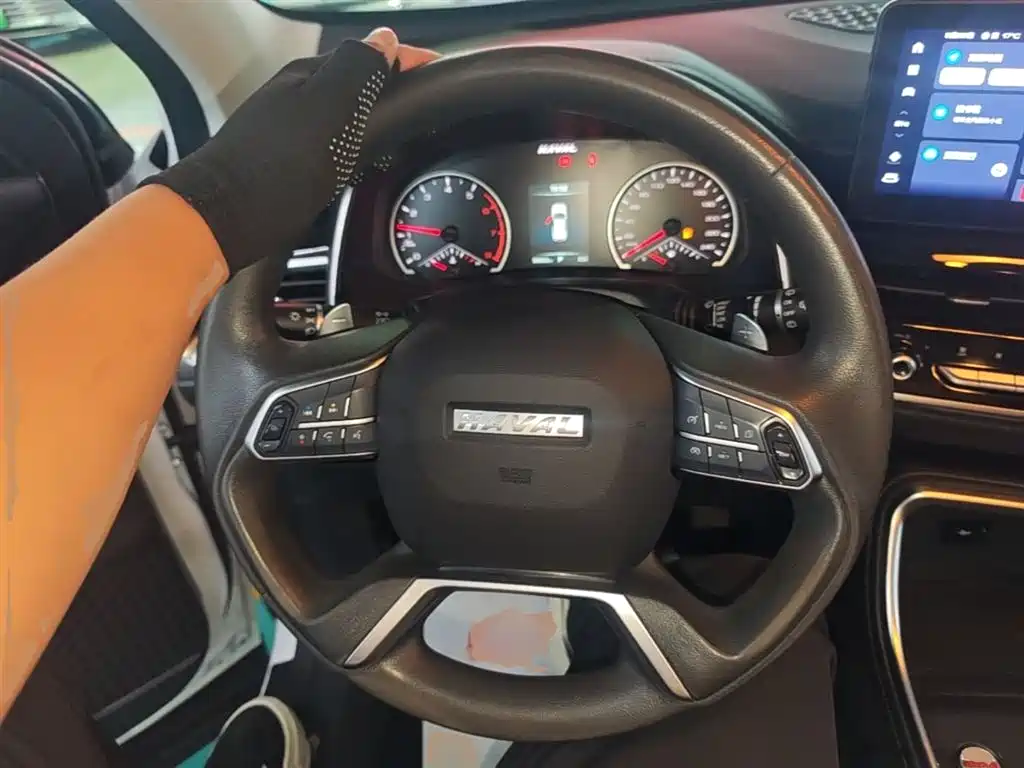 Haval H6 2023 National Trend Edition 1.5T Automatic Urban фото 11