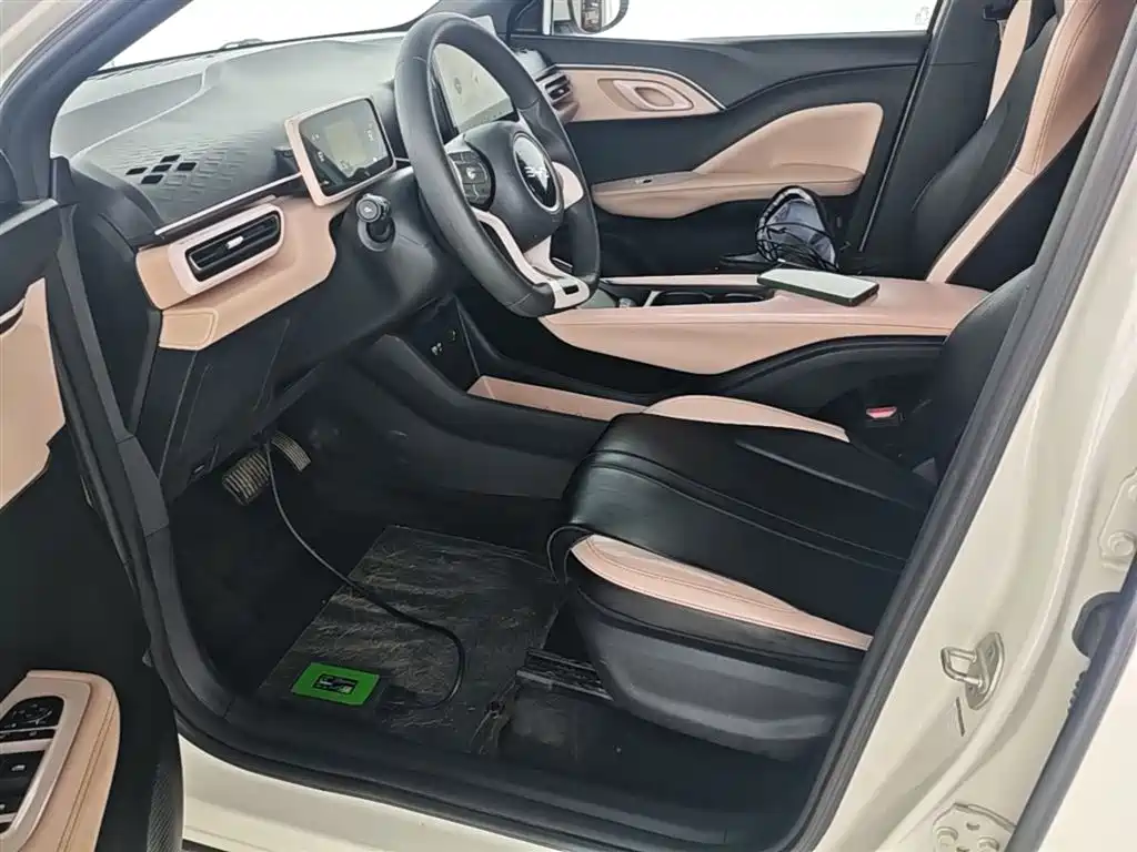 BYD Seagull 2024 Glory Edition 305km Vitality Edition фото 15