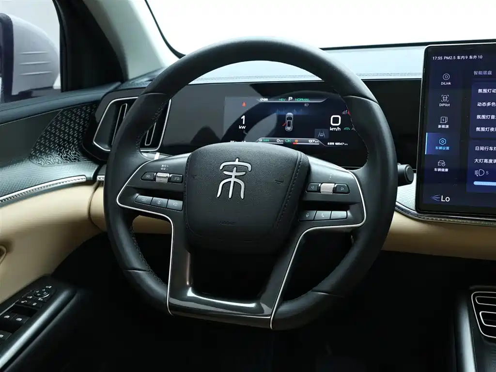 BYD Song Pro New Energy 2025 2nd Gen DM-i 115KM Excellence фото 15