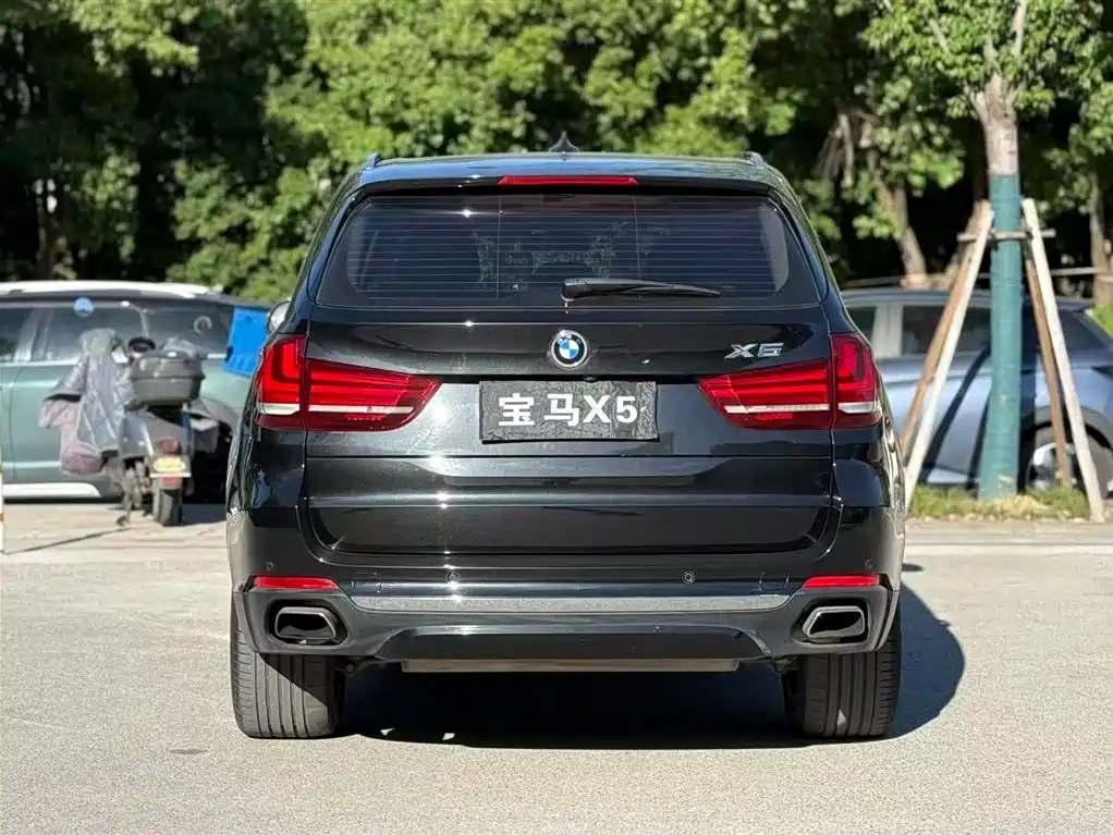 BMW X5 (Import) 2017 xDrive35i Elegance фото 5
