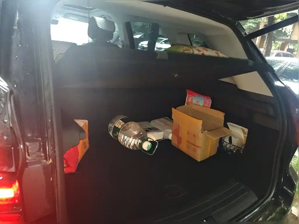 Roewe RX5 New Energy 2021 2020 ePLUS Guochao Ronglin Luxury Edition