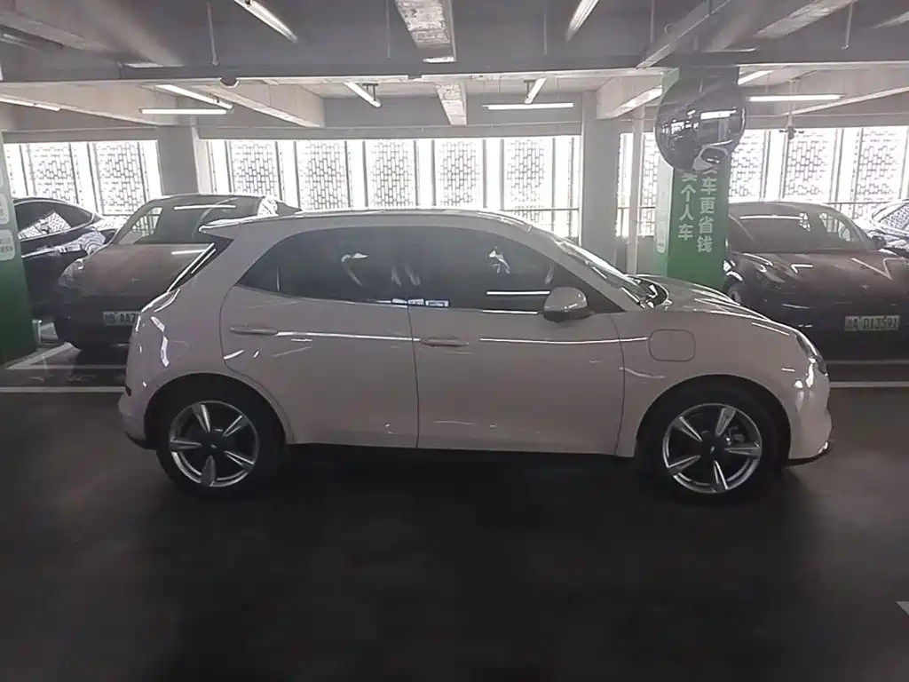 Ora Good Cat 2023 2023 401km Standard Range Luxury LFP