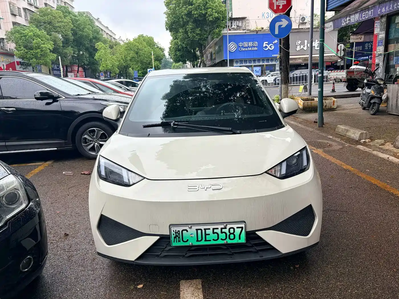 BYD Seagull 2023 Vitality Edition фото 2