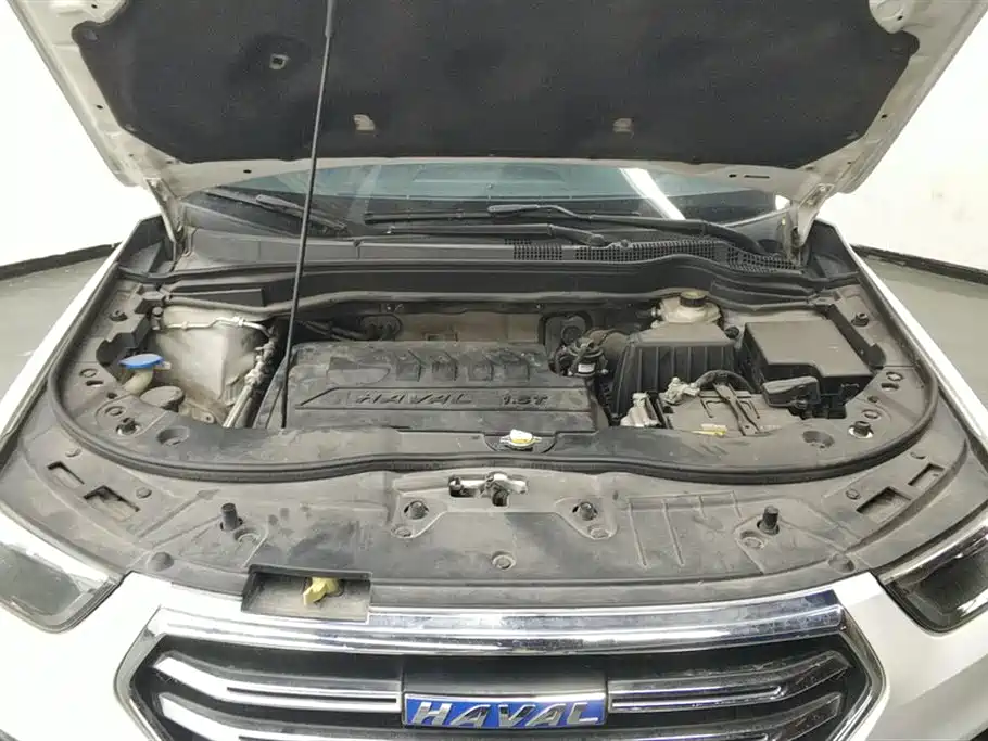 Haval H6 2017 Blue Label Sport 1.5T Auto 2WD Luxury фото 10