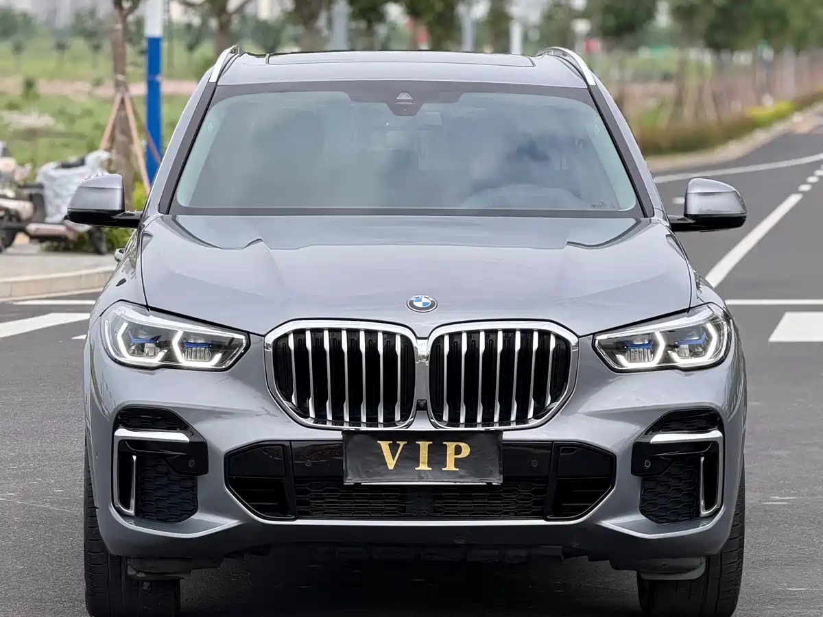 BMW X5 2022 xDrive 30Li Premium M Sport Package фото 2