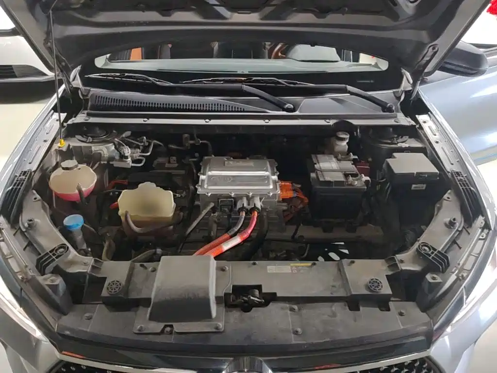 BYD e2 2022 2021 Luxury Edition