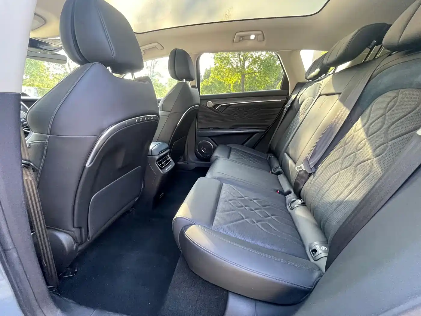 Voyah Auto VOYAH FREE 2021 AWD Standard Range Extender Exclusive Luxury Package фото 6