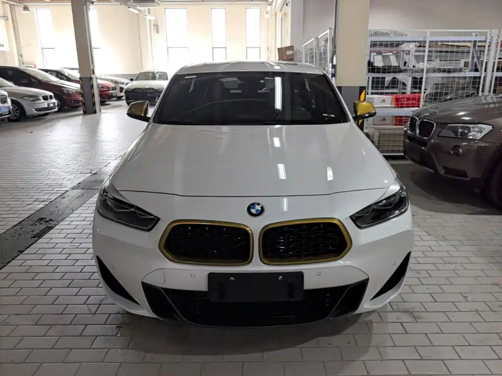 BMW X2 2023 2023 sDrive 25i Radiance Edition