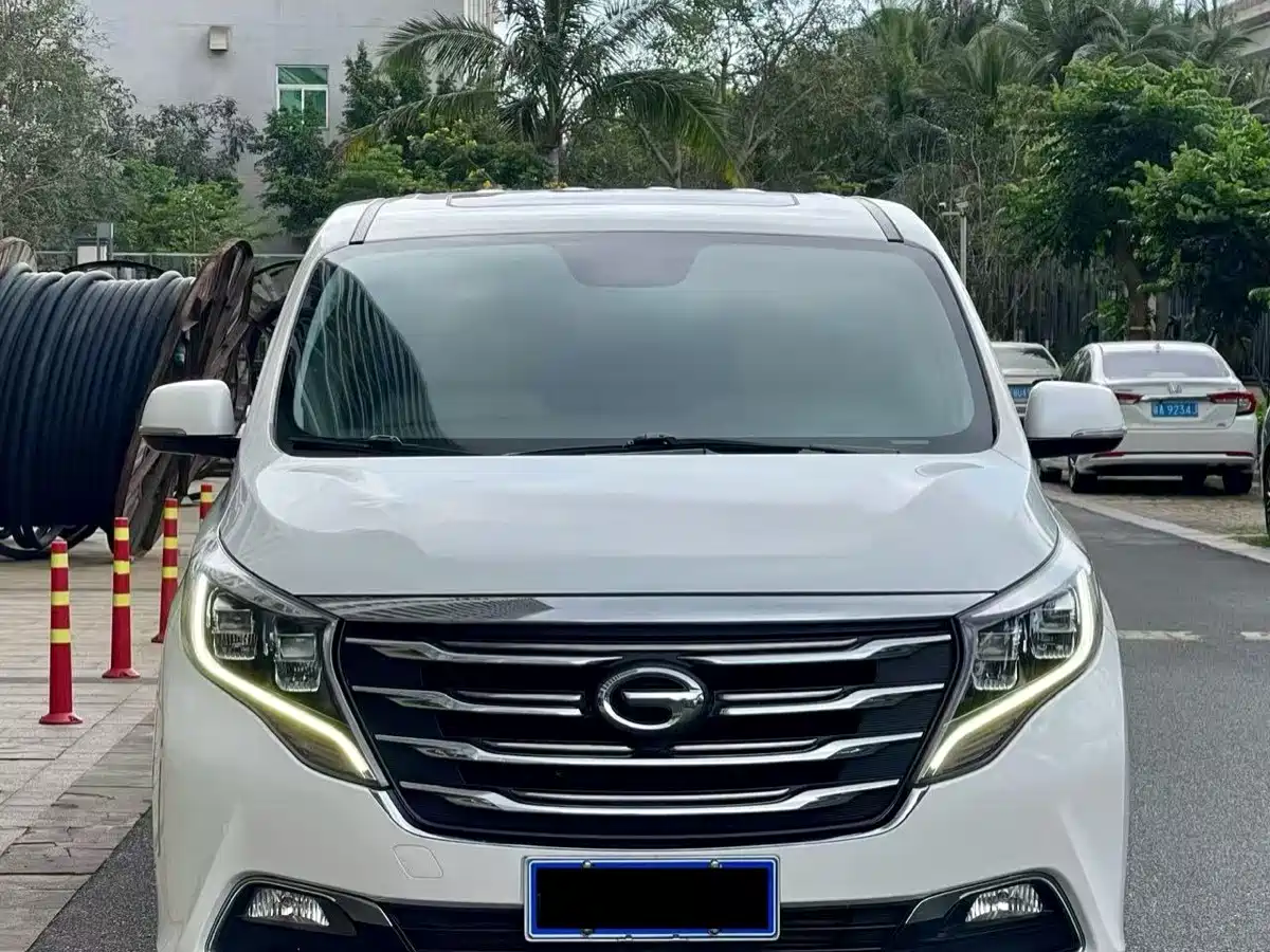 GAC Trumpchi Trumpchi M8 2018 320T Premium Edition фото 2