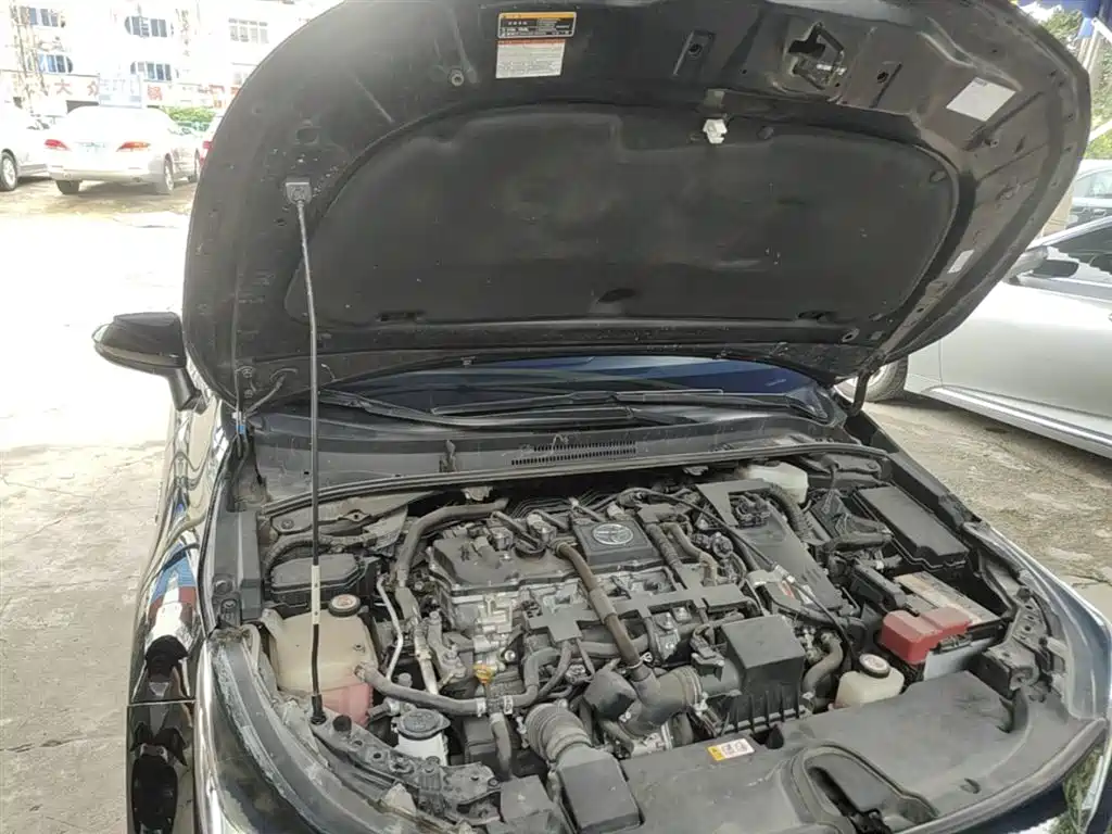 Toyota Levin 2019 Hybrid 1.8H E-CVT Luxury Edition China VI фото 20