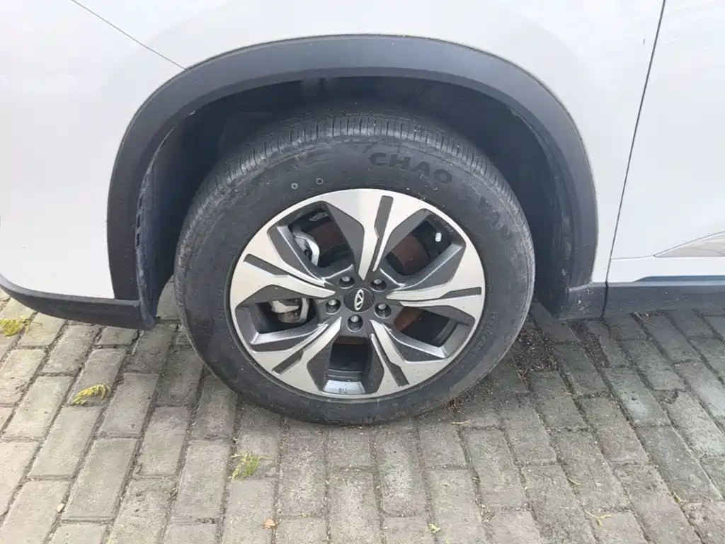 Chery Tiggo 8 PRO EV 2024 2023 Champion Edition 1.5T 100km King Edition