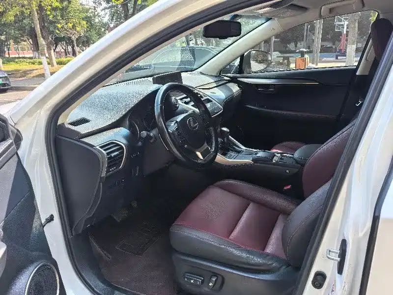 Lexus NX 2018 Model 300 FWD Fengxing Edition фото 6