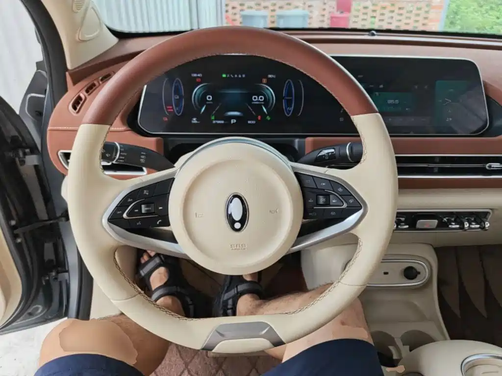 Ora Good Cat 2024 2024 401km Luxury
