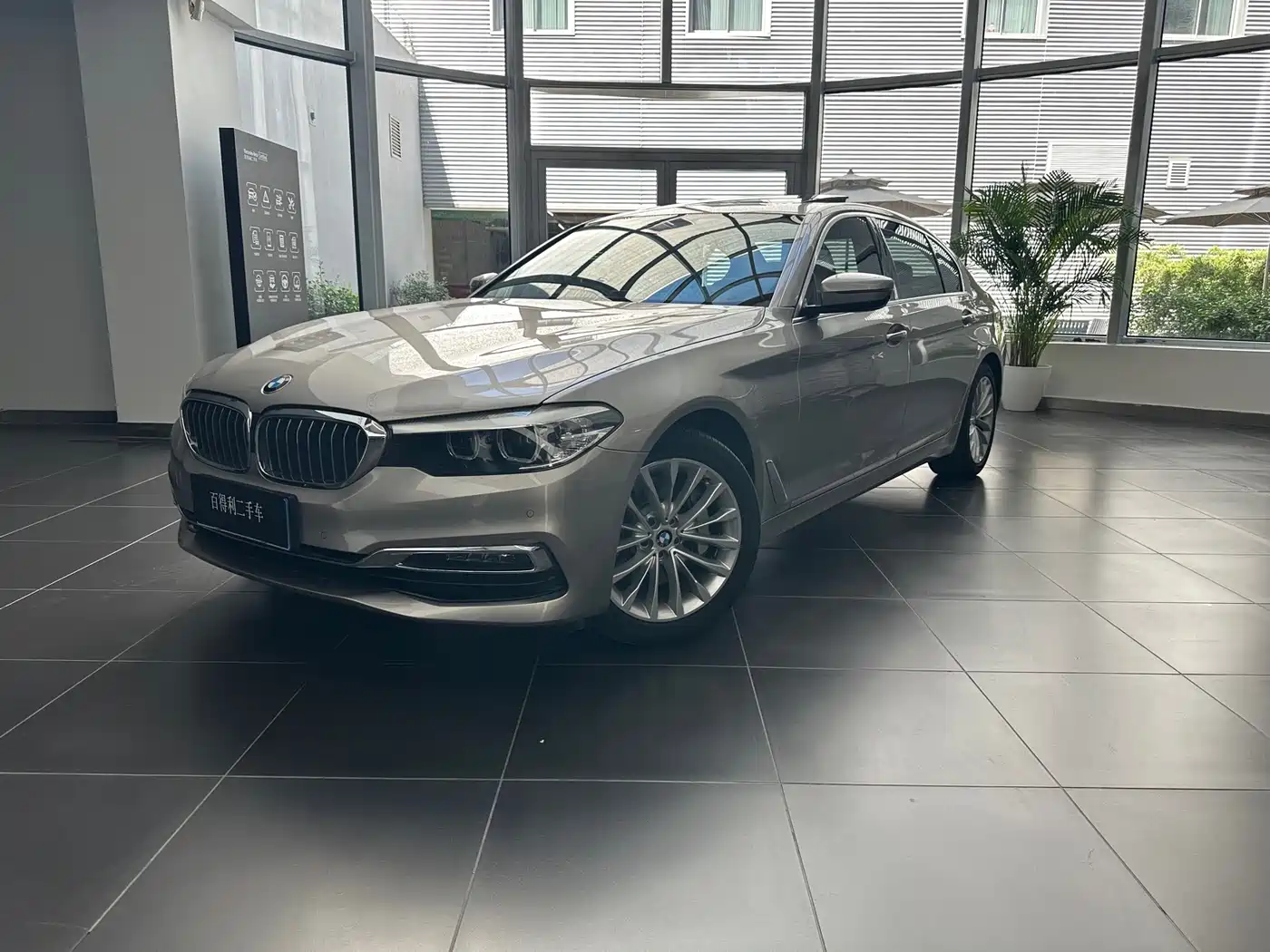 BMW 5 Series 2019 530Li xDrive Luxury Package