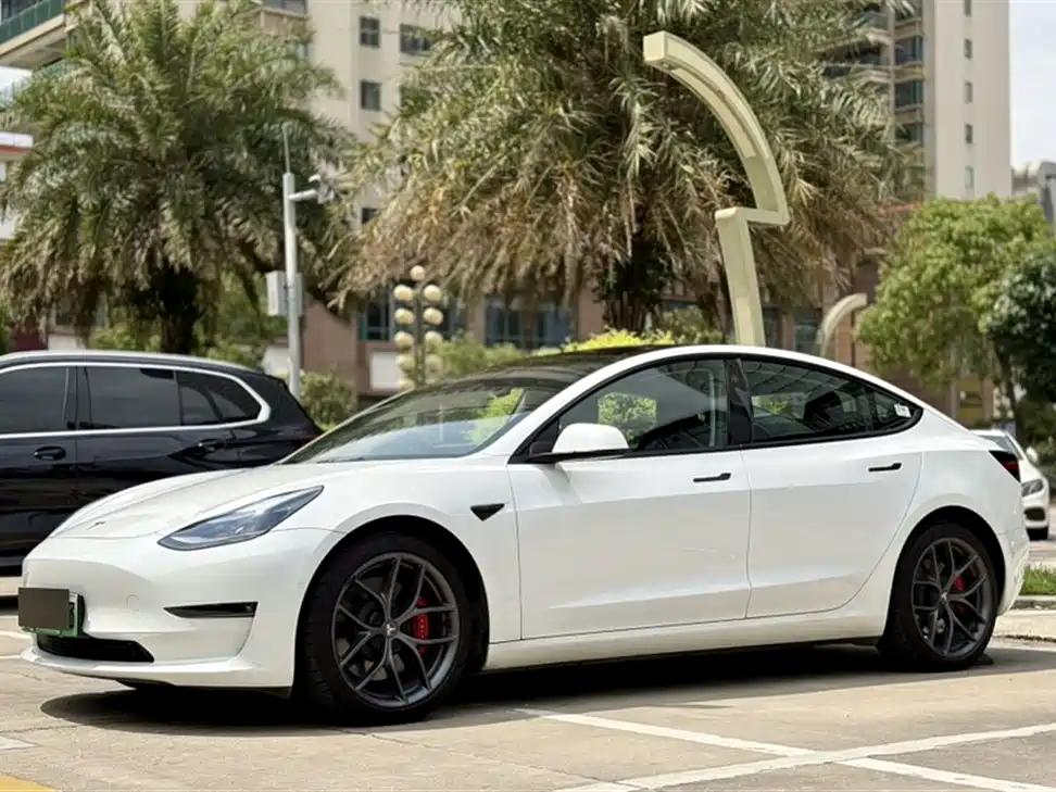Tesla Model 3 2021 Performance High-Performance All-Wheel Drive 3D6