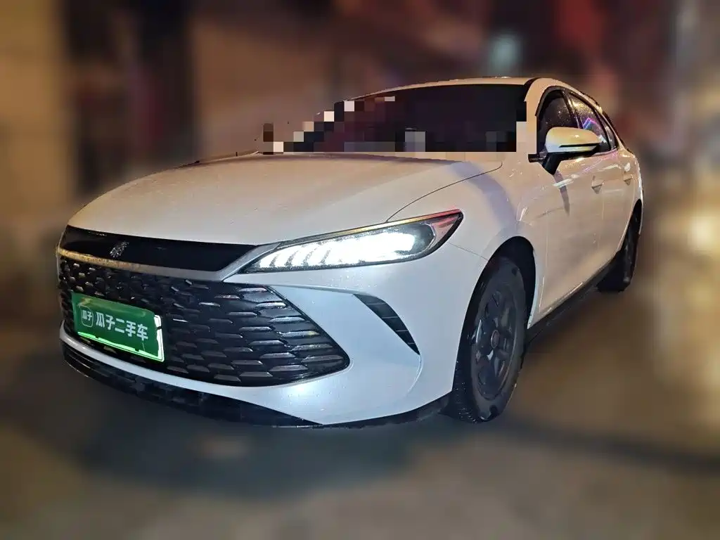 BYD Qin PLUS 2025 DM-i Smart Drive 55KM Leader