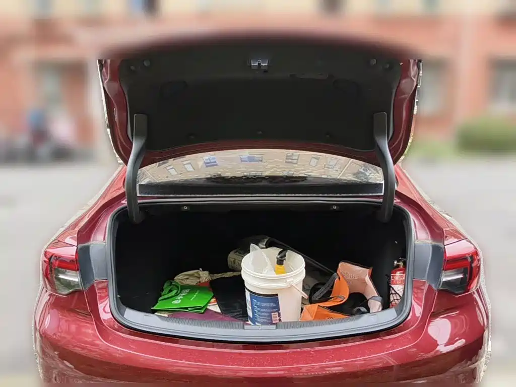 Фото 5 - Buick Regal