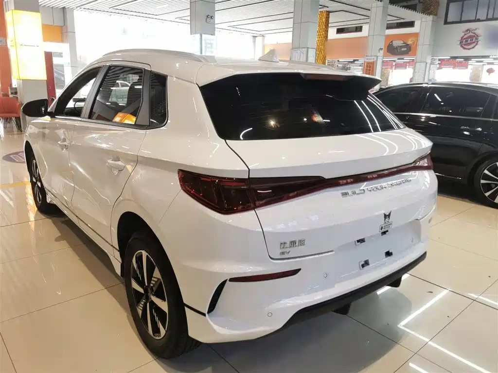 BYD e2 2024 Honor Edition Luxury фото 23