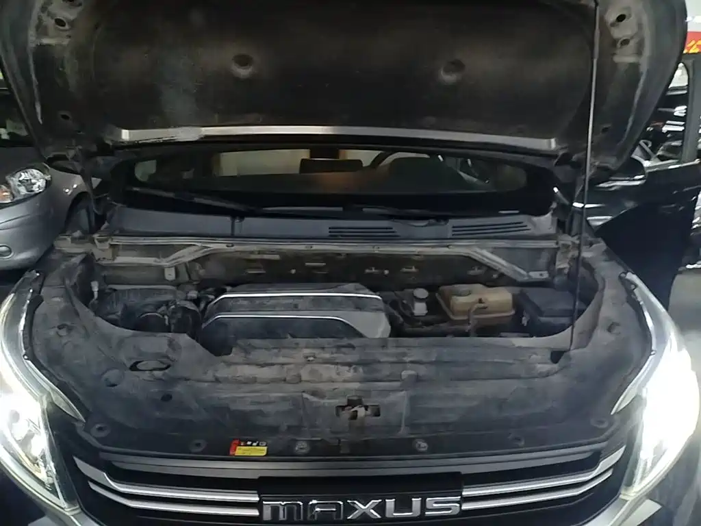 Фото 20 - SAIC Maxus Maxus G50
