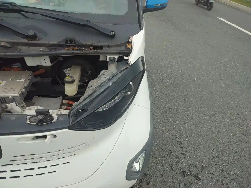 Baojun E100 2021 2020 305KM Intelligent Edition