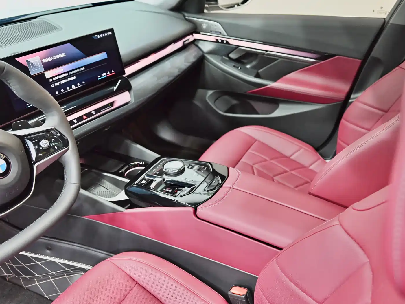 BMW 5 Series 2024 530Li Leading Model Luxury Package фото 18
