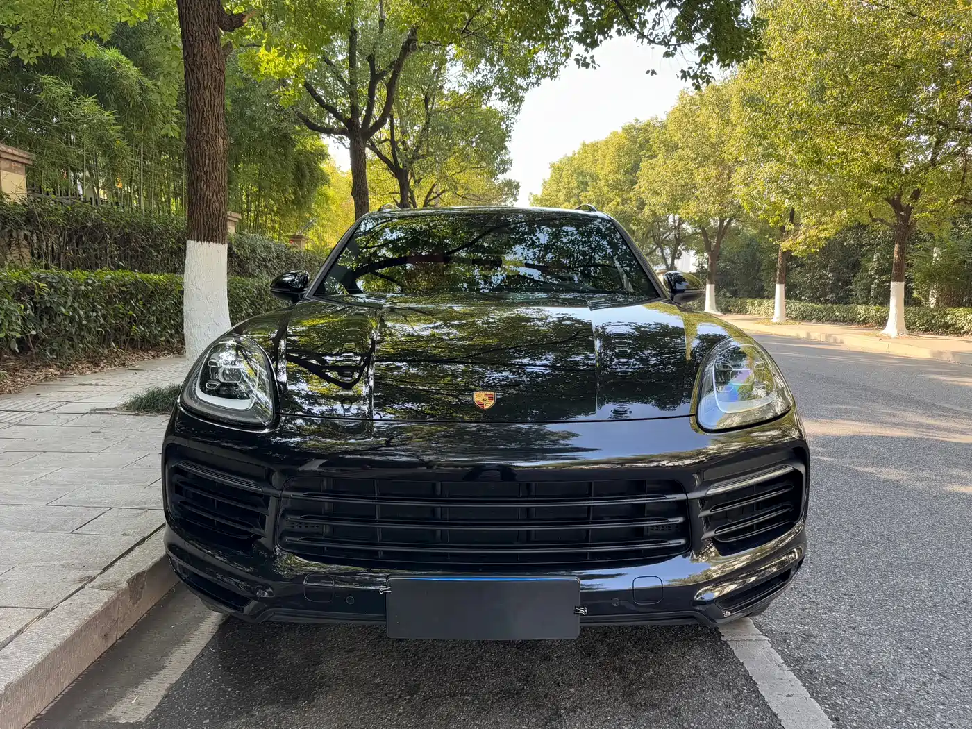 Porsche Cayenne 2019 Cayenne 3.0T фото 2