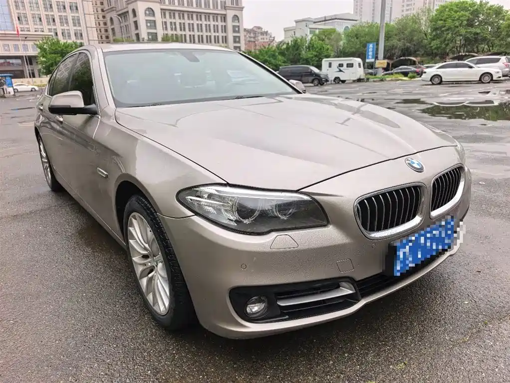 BMW 5 Series 2013 530Li Leadership фото 3