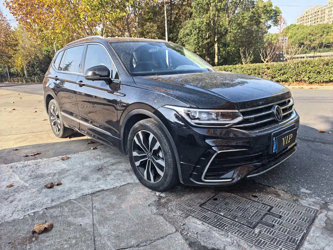 Volkswagen Tiguan L 2024 Outstanding 330TSI Auto 2WD Dragon Soaring Edition фото 2