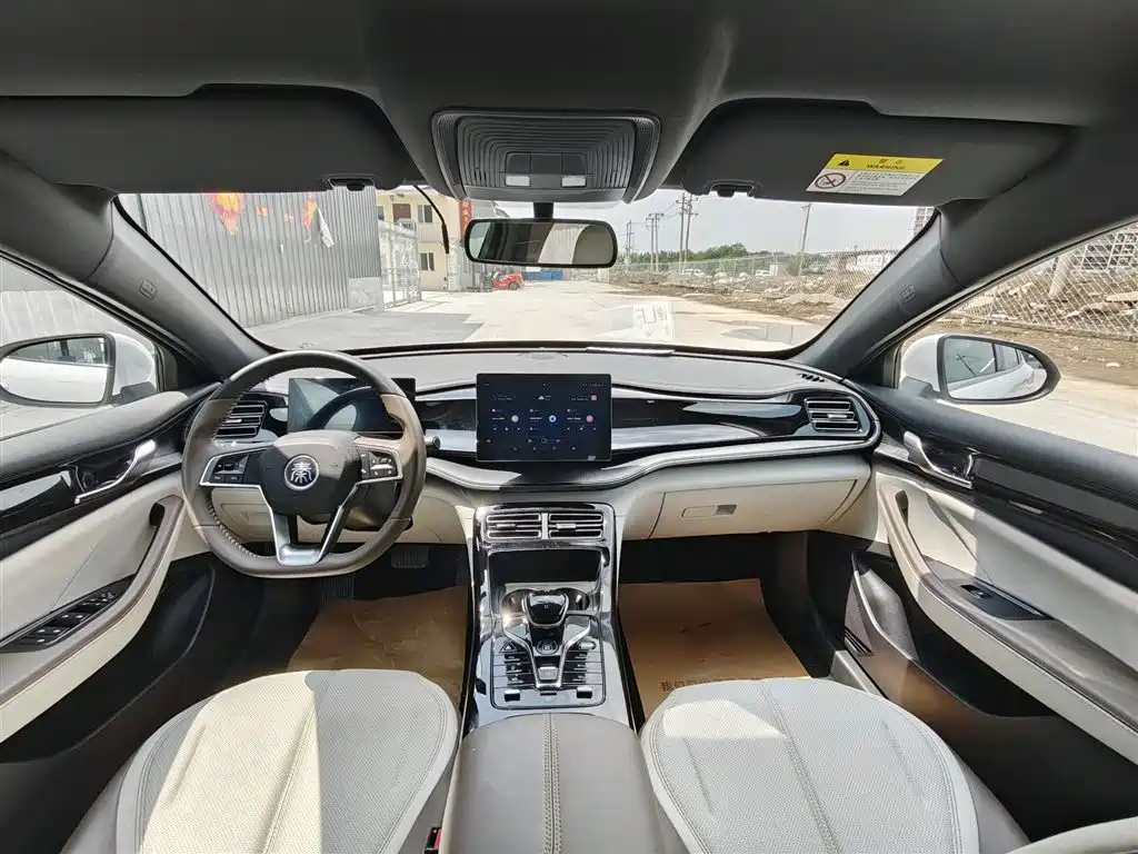 BYD Qin PLUS 2024 Glory Edition DM-i 55KM Leading фото 9