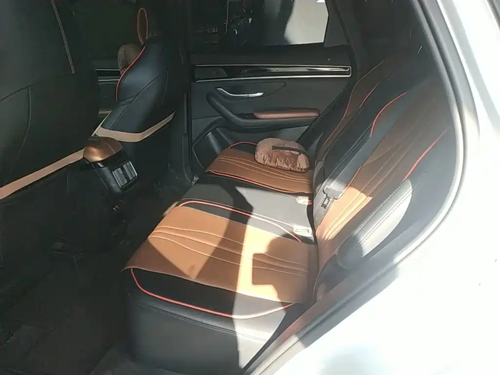 BYD Song PLUS 2021 2020 1.5T Automatic Luxury