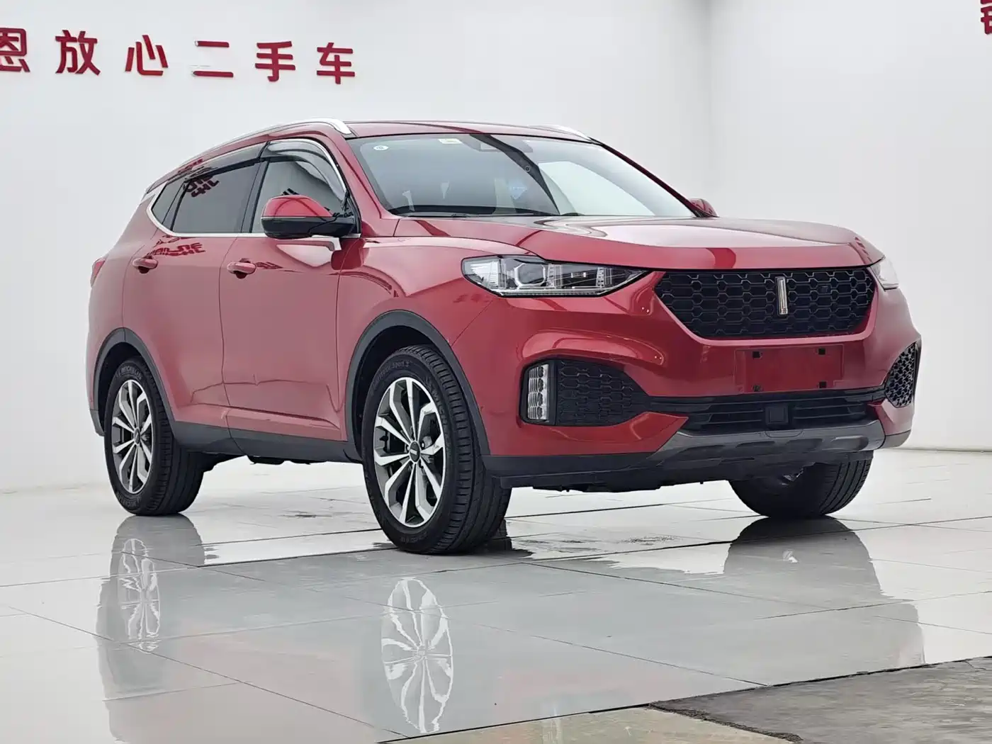 WEI PAI WEI BRAND VV6