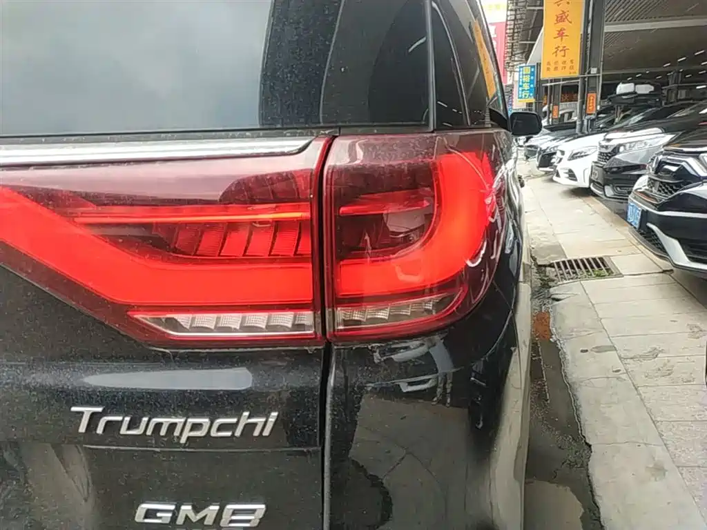 GAC Trumpchi Trumpchi M8 2018 320T Premium Edition фото 8