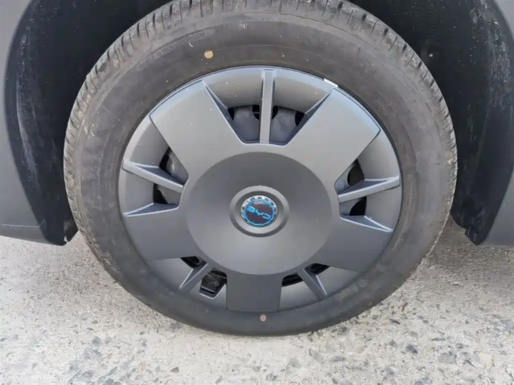 BYD Seagull 2025 Smart Drive Edition 305km Vitality Version фото 23