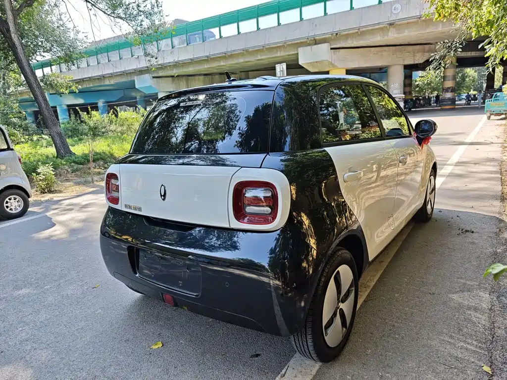 Ora Black Cat 2022 2022 Facelift 301km Pet Edition LFP Version