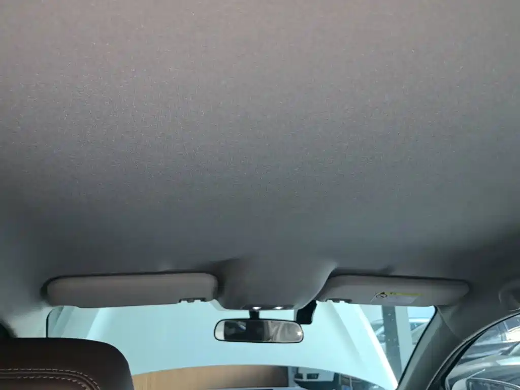 BYD e2 2021 2021 Premium Model