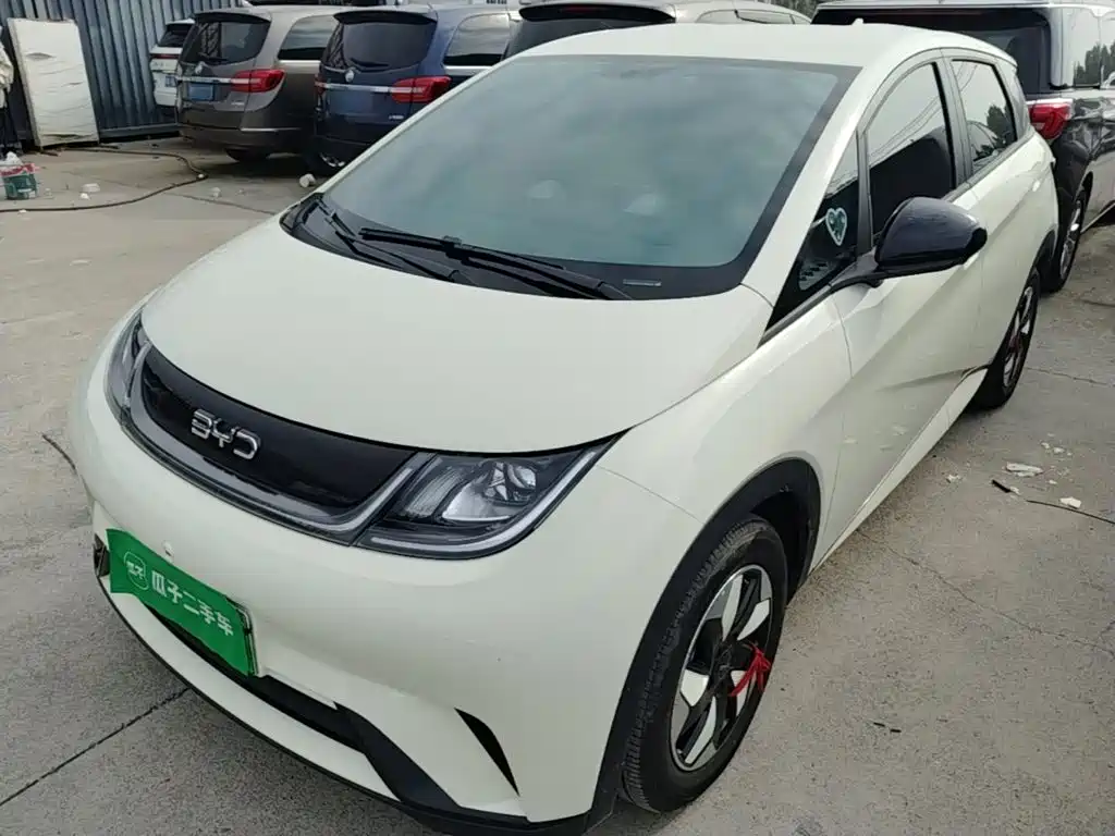 BYD Dolphin 2026 2025 420km Freedom Edition