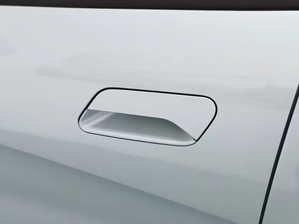 Geely Geometry E Firefly 2024 2022 401KM Delicate Tiger 4-seater