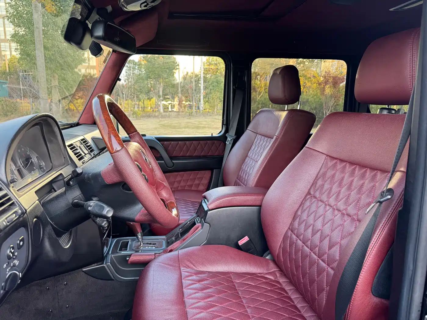 Mercedes-Benz G-Class 2010 G 500 фото 11