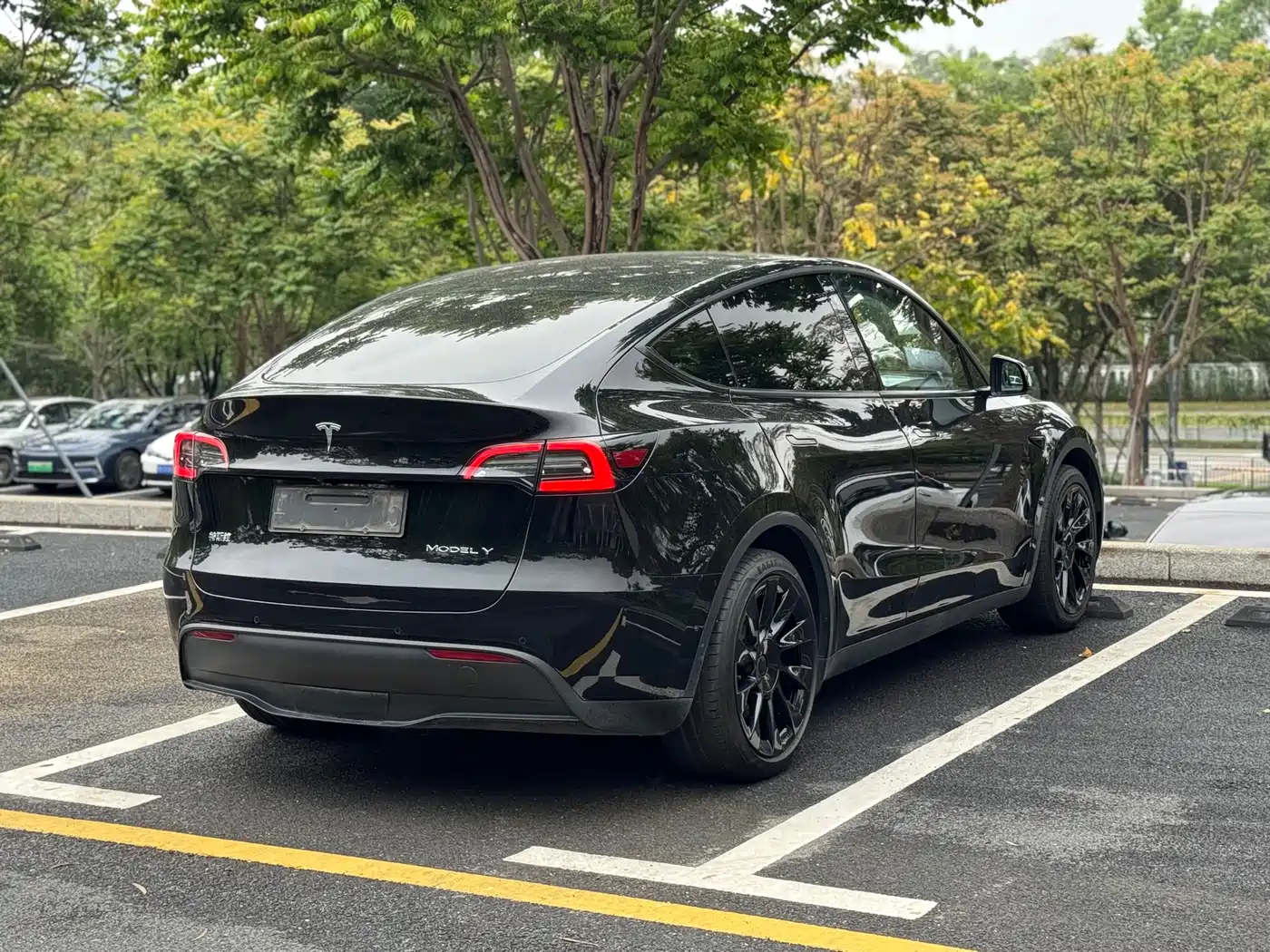 TESLA MODEL Y