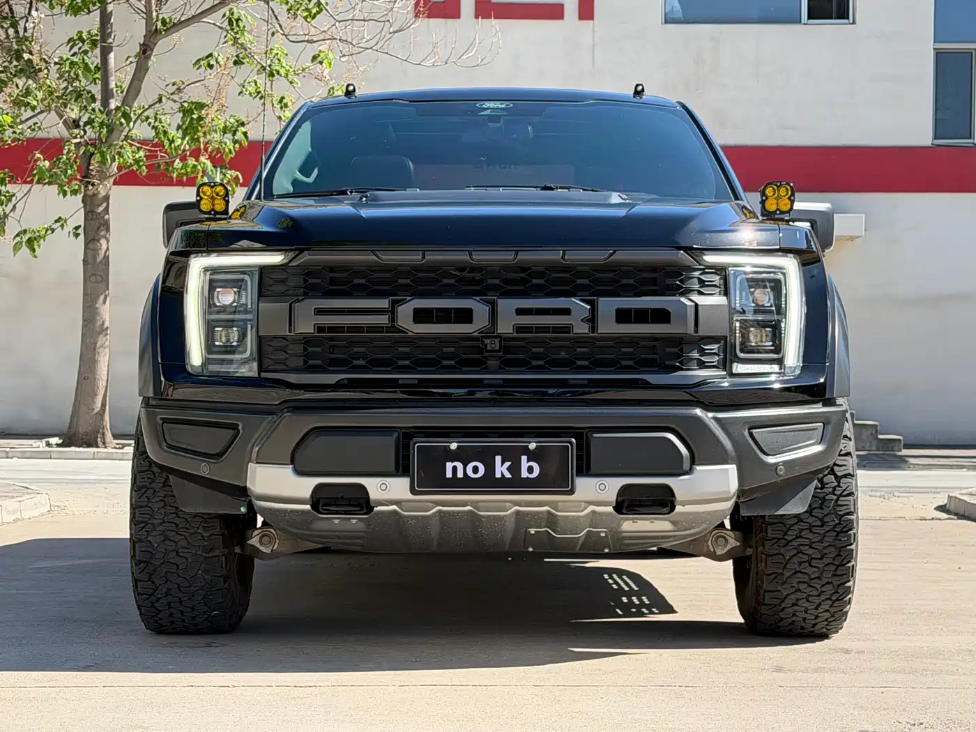 FORD F-150 RAPTOR