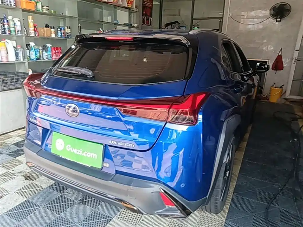 Lexus UX 2019 260h F SPORT Edition China VI фото 7