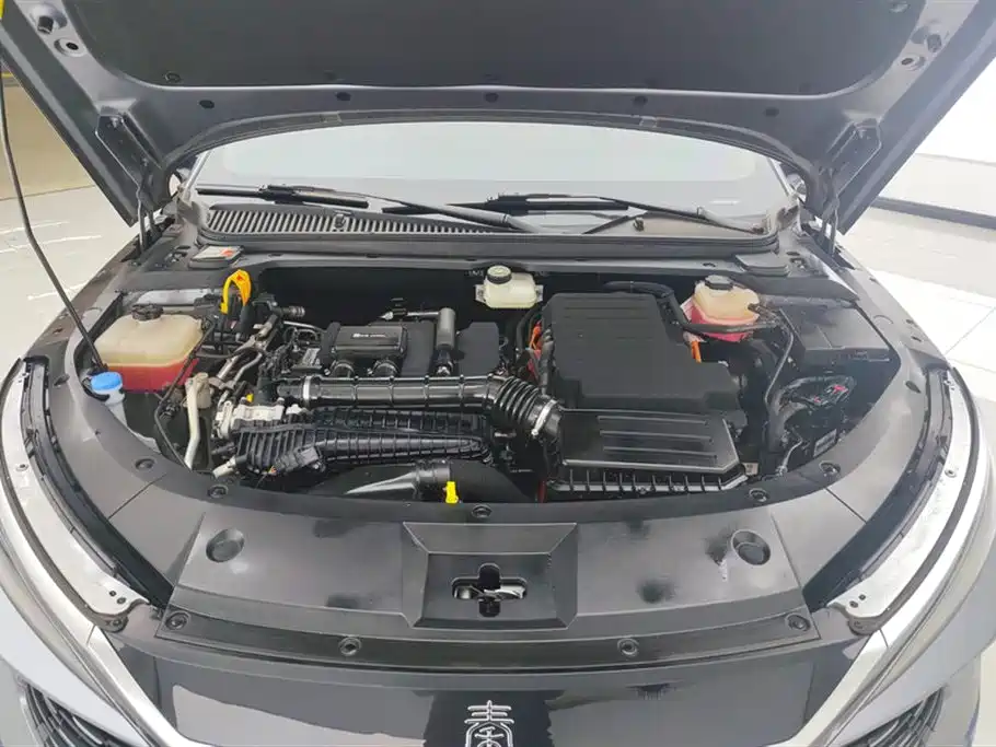BYD Qin L 2024 DM-i 80KM Leading Edition фото 10