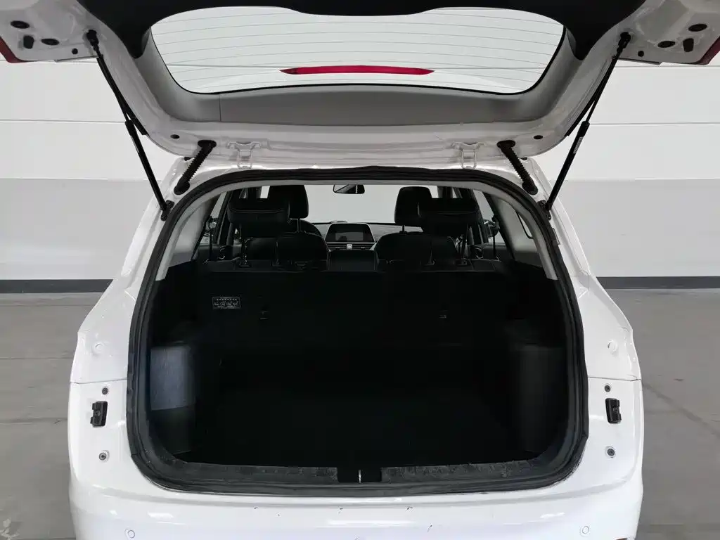 Baojun 310W 2018 2018 1.5L Auto Luxury China V